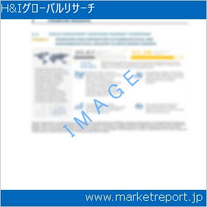 市場と産業調査レポートのイメージ